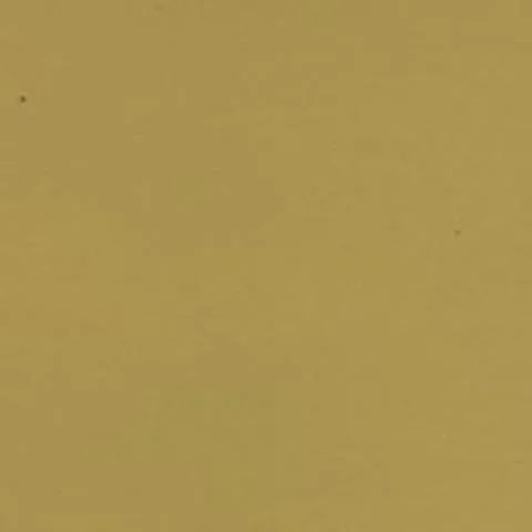andyshhq11959903