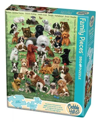 cedarburgtoyco1894133