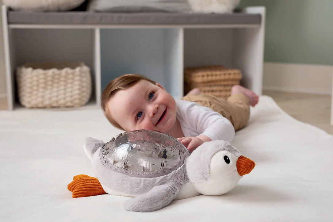 cheekymonkeytoys1904685