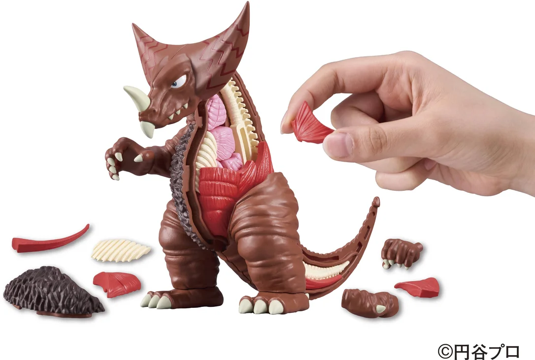 prexhobby32217828