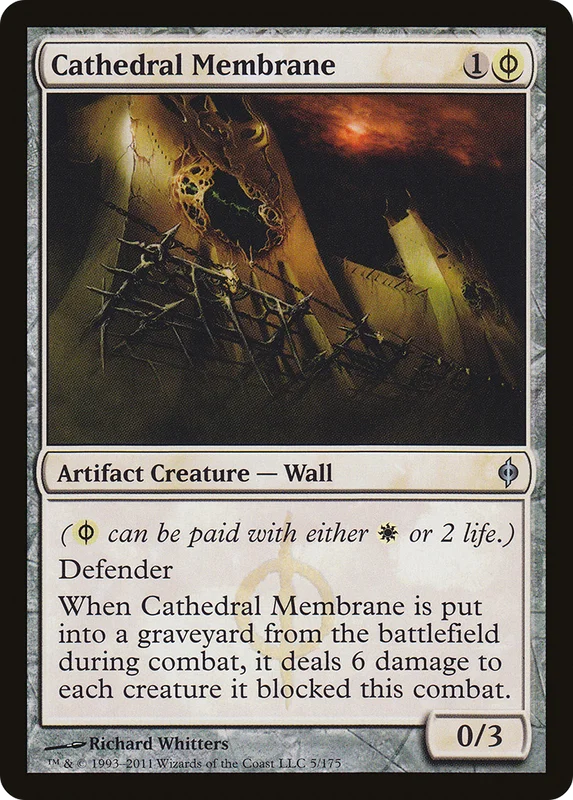 thewarpgate32233813