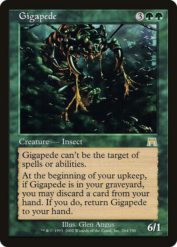 thewarpgate32237929
