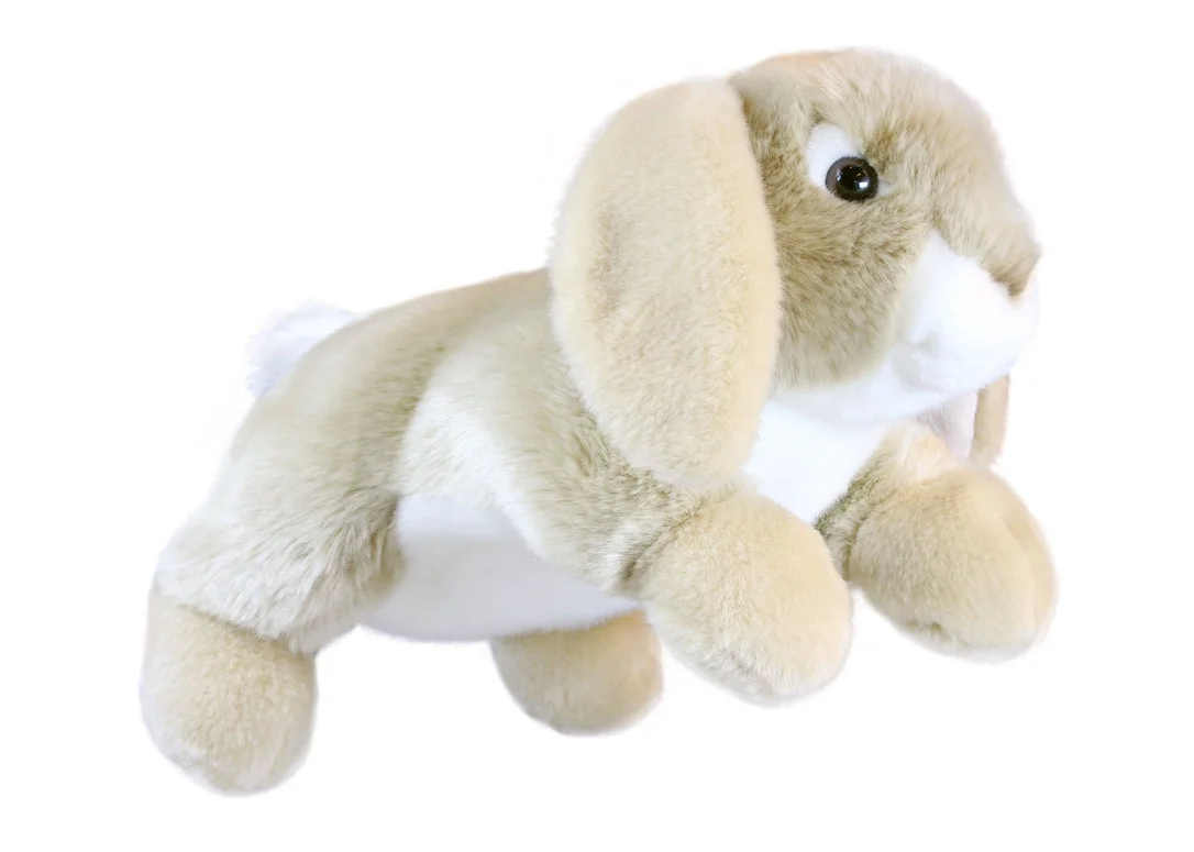 toychestnh1889439