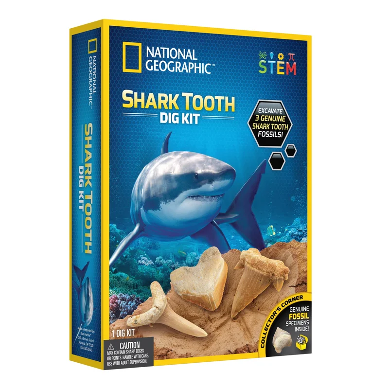 toychestnh1903658