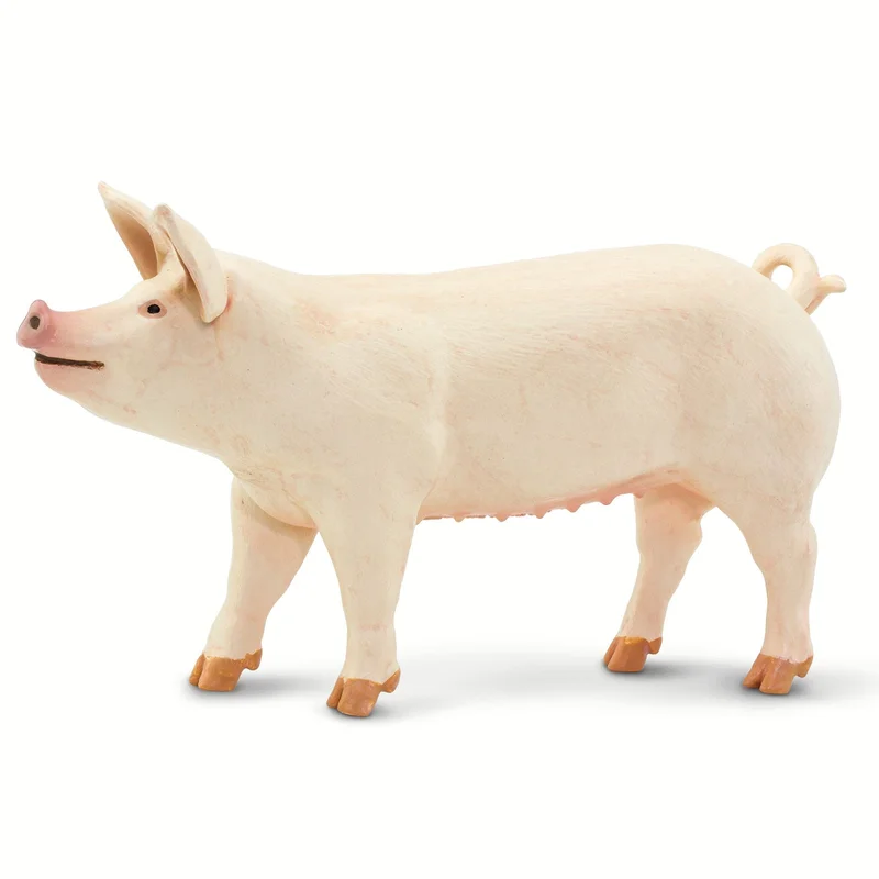 toychestnh1911709