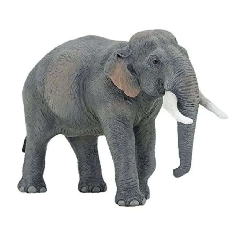 toysandco-2067444