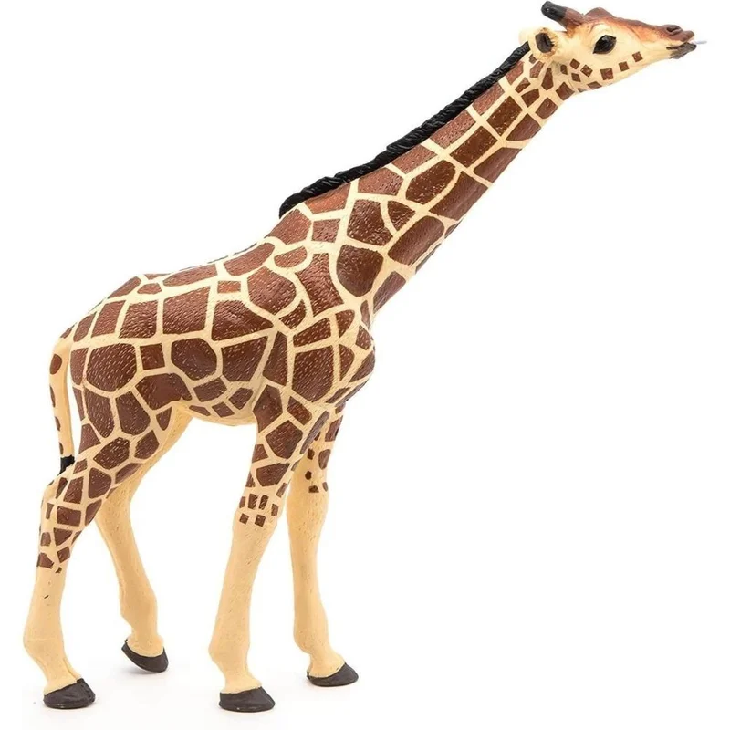 toysandco-2067776