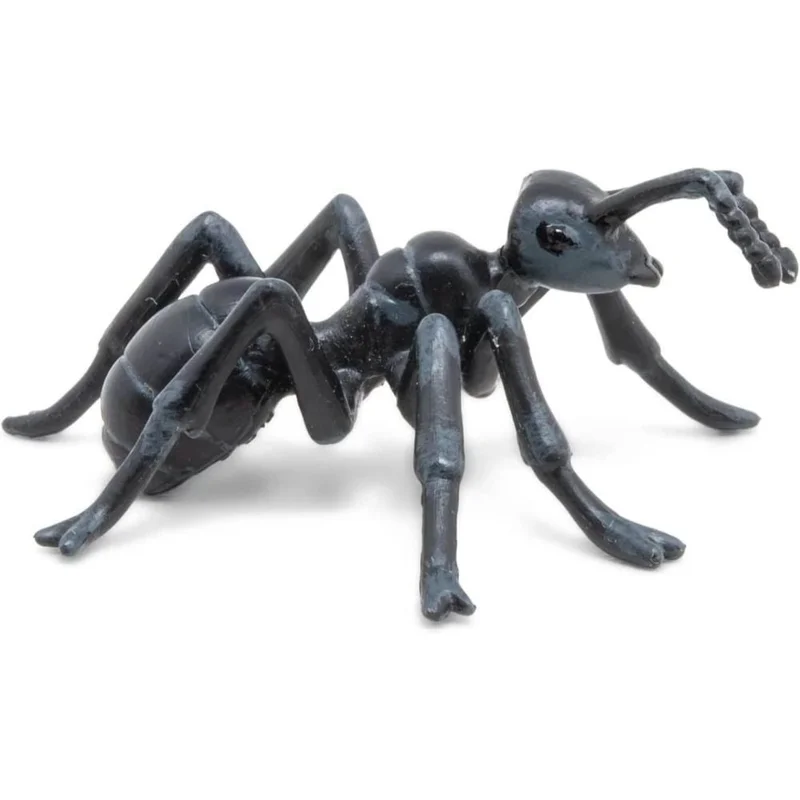 toysandco-2068008