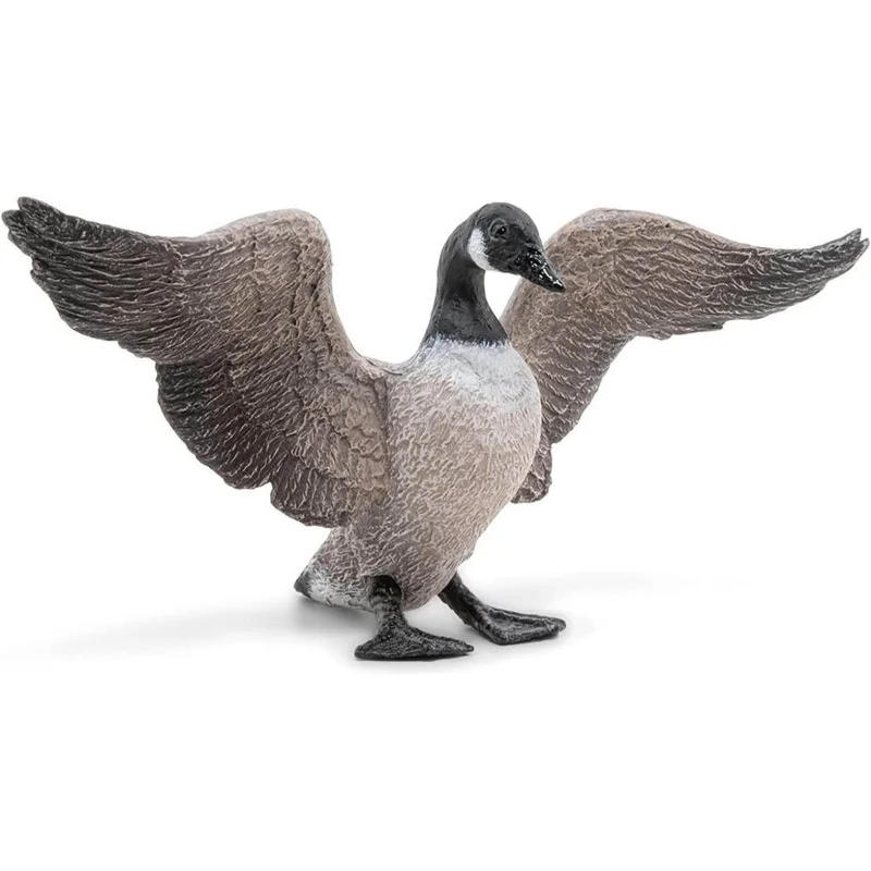 toysandco-2068036