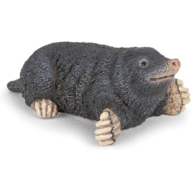 toysandco-2068178