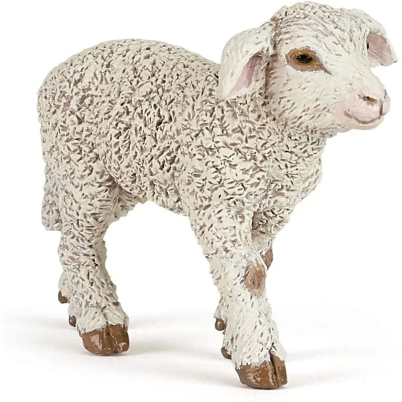 toysandco-2068991