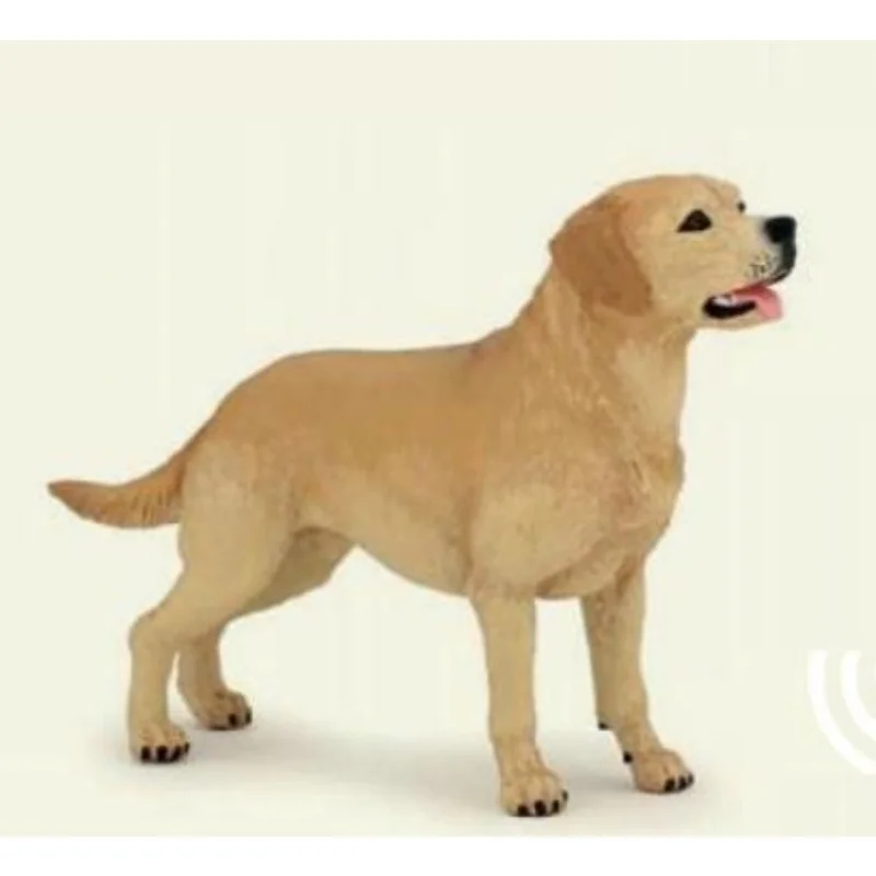 toysandco-2069239