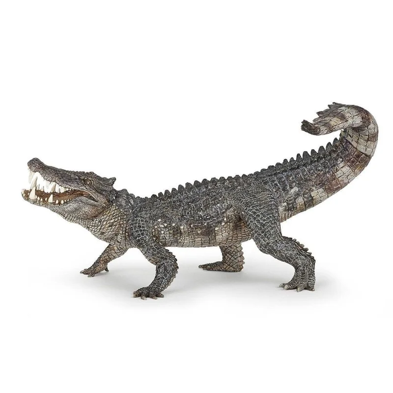 toysandco-2080430