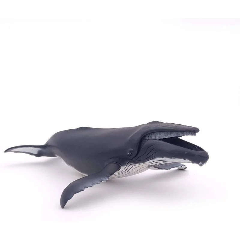 toysandco-2080525
