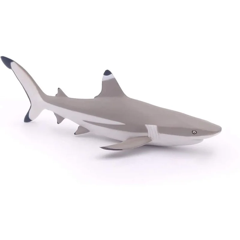 toysandco-2080594