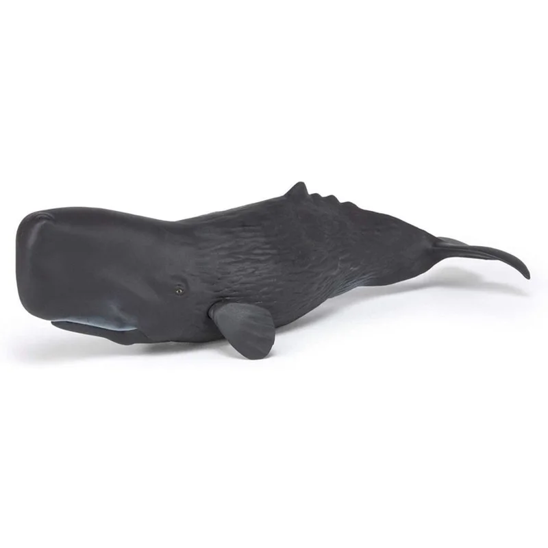 toysandco-2080600