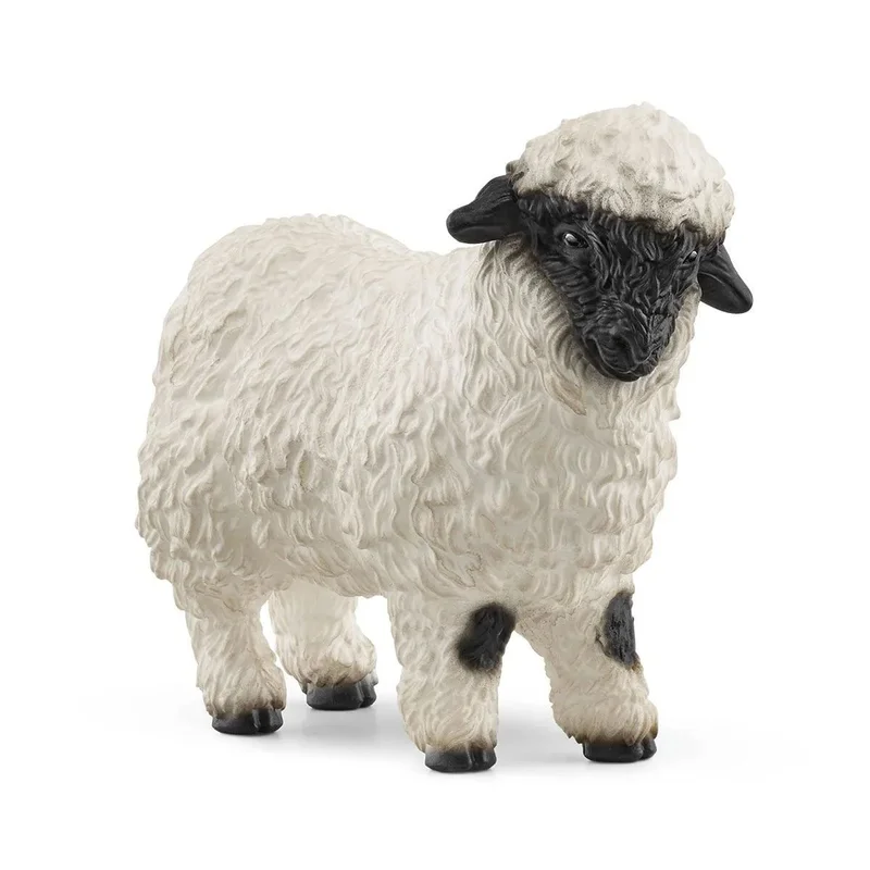 toysandco-2085647