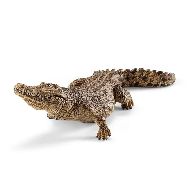 toysandco-2085757