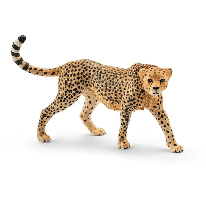 toysandco-2085761