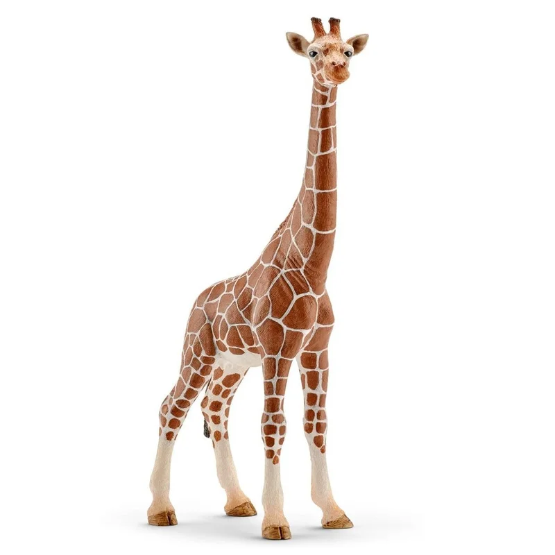 toysandco-2085765