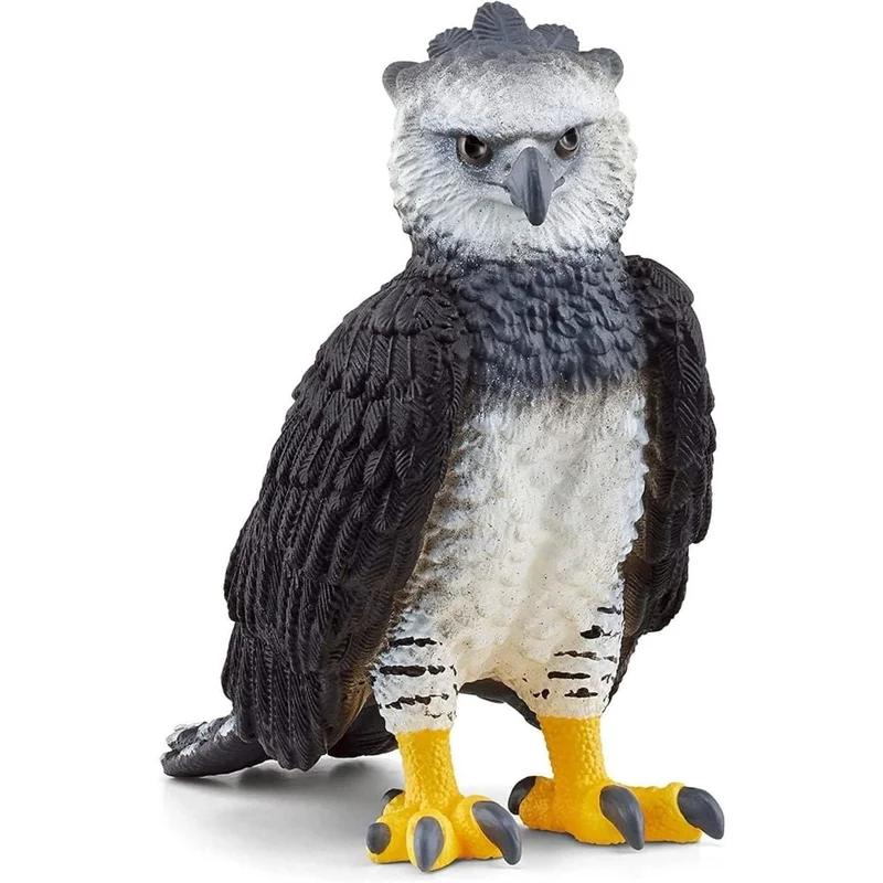 toysandco-2085897