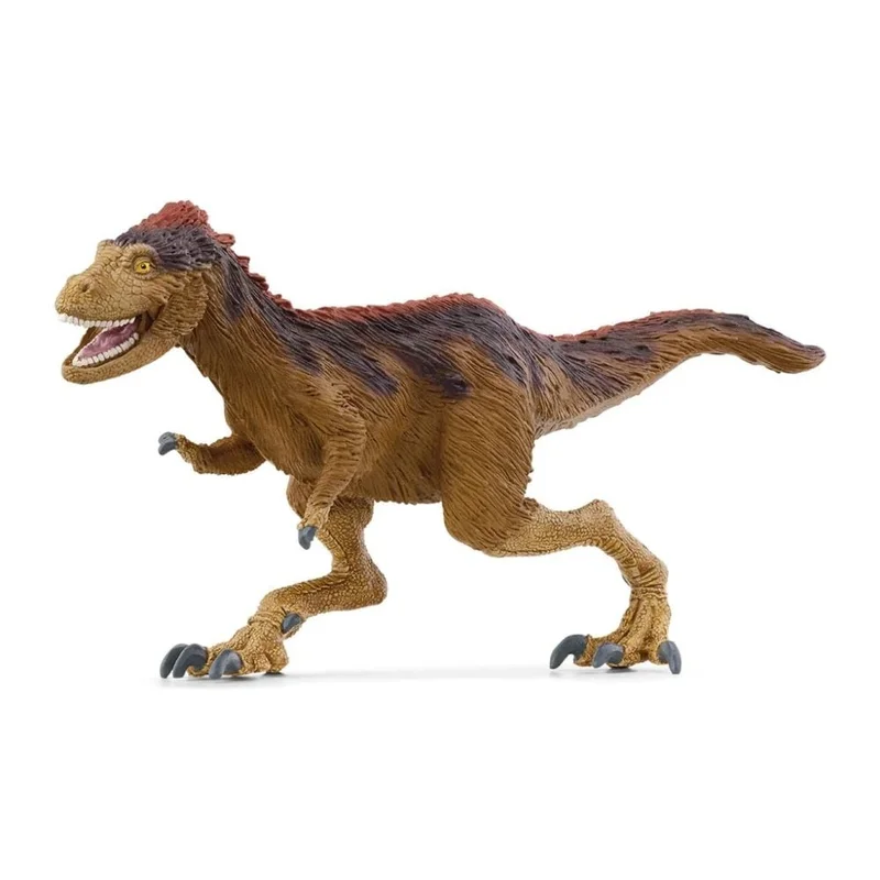 toysandco-2086124
